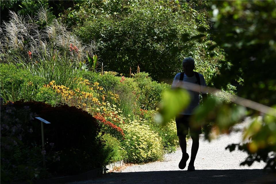 Pflanzen im Botanischen Garten Frankfurt dürfen grundsätzlich nicht berührt werden.Arne Dedert/dpa