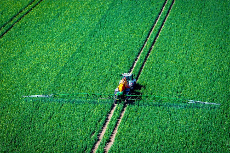 Pflanzenschutzmittel belasten Nützlinge im Boden (Archivbild)Jens Büttner/dpa
