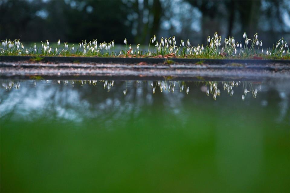 Pfützen auf Wegen und Äckern können trügerisch sein: Vielerorts fehlt den Böden Feuchtigkeit. (Archivbild)Lars Penning/dpa