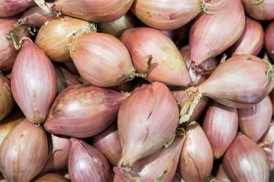 Pikant-süßliches Aroma, aber schwer zu schälen: Schalotten.picture alliance / dpa Themendienst