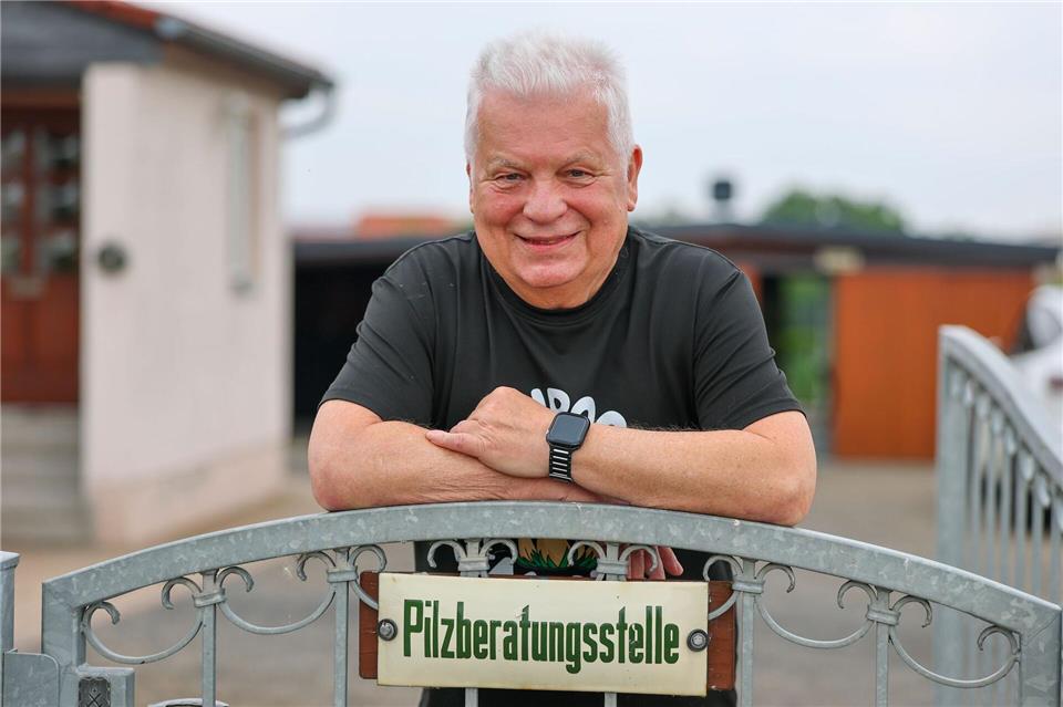 Pilzberater sortieren giftige oder nicht eindeutig bestimmbare Pilze konsequent aus. Jan Woitas/dpa