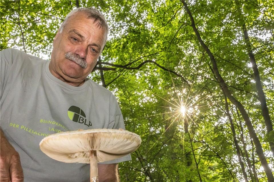 Pilzexperte Lutz Helbig rät von Apps zur Pilzbestimmung ab. Frank Hammerschmidt/dpa