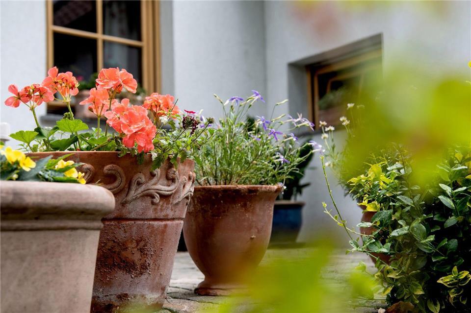 Plastik im Garten vermeiden: Wiederverwendbare oder kompostierbare Pflanzgefäße wie Tontöpfe sind umweltfreundliche Ersatzprodukte.Franziska Gabbert/dpa-tmn