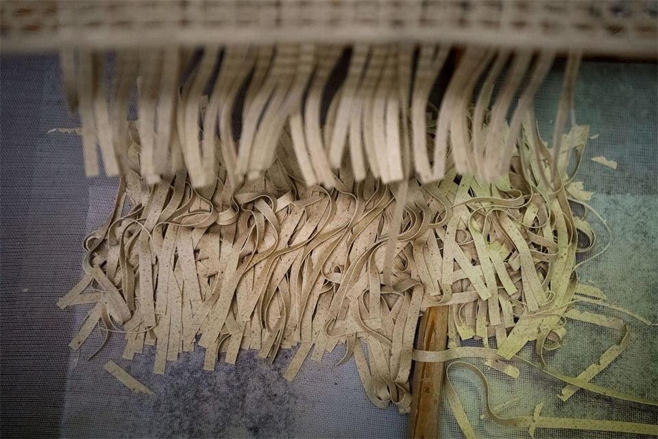 Plumento Food hatte unter anderem insektenhaltige Nudeln vertrieben. (Archivbild)Marijan Murat/dpa