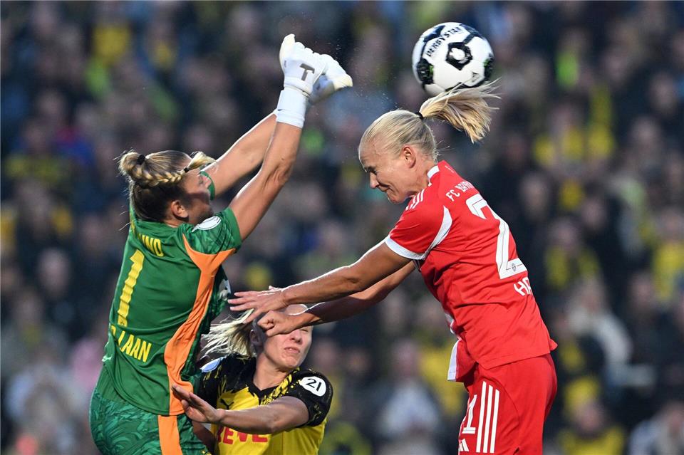Pokalfight in Dortmund: Bayern-Star Harder trifft auf BVB-Talent van der LaanFederico Gambarini/dpa