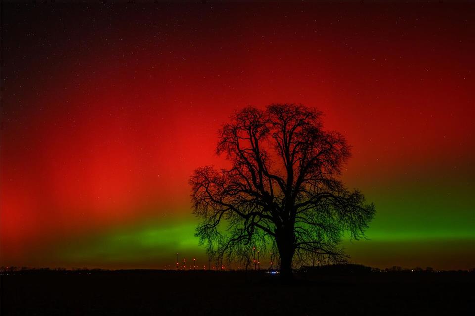 Polarlichter leuchten am Nachthimmel über der Landschaft im östlichen Brandenburg.Patrick Pleul/dpa