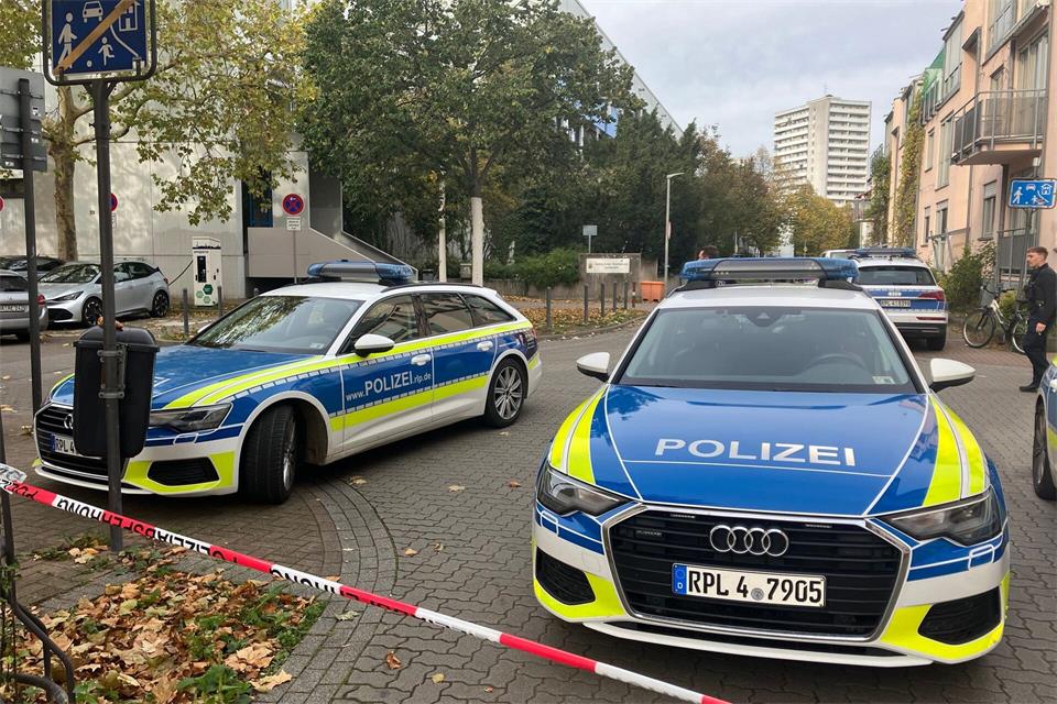 Polizeieinsätze sind kein Alltag an der Schule, kommen aber öfter vor. (Archivbild)Wolfgang Jung/dpa