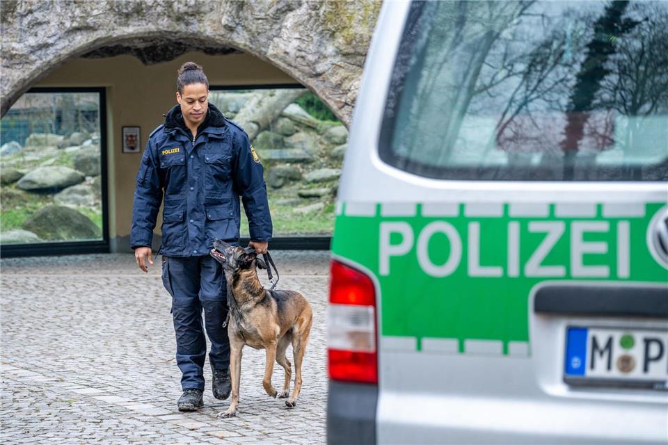 SPD: Einstiegsalter für Polizei auf 16 Jahre senken Polizeihundeführer sollen mehr Futtergeld bekommen. (Archivbild)Armin Weigel/dpa
