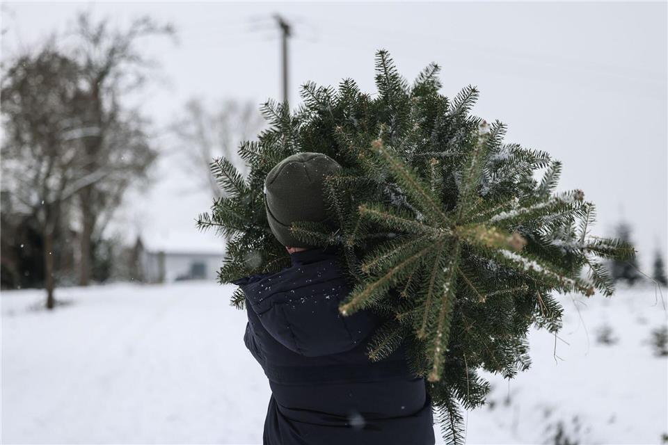 Polizisten beobachteten, wie die Männer den Weihnachtsbaum wegtragen wollten. (Symbolbild)Oliver Berg/dpa