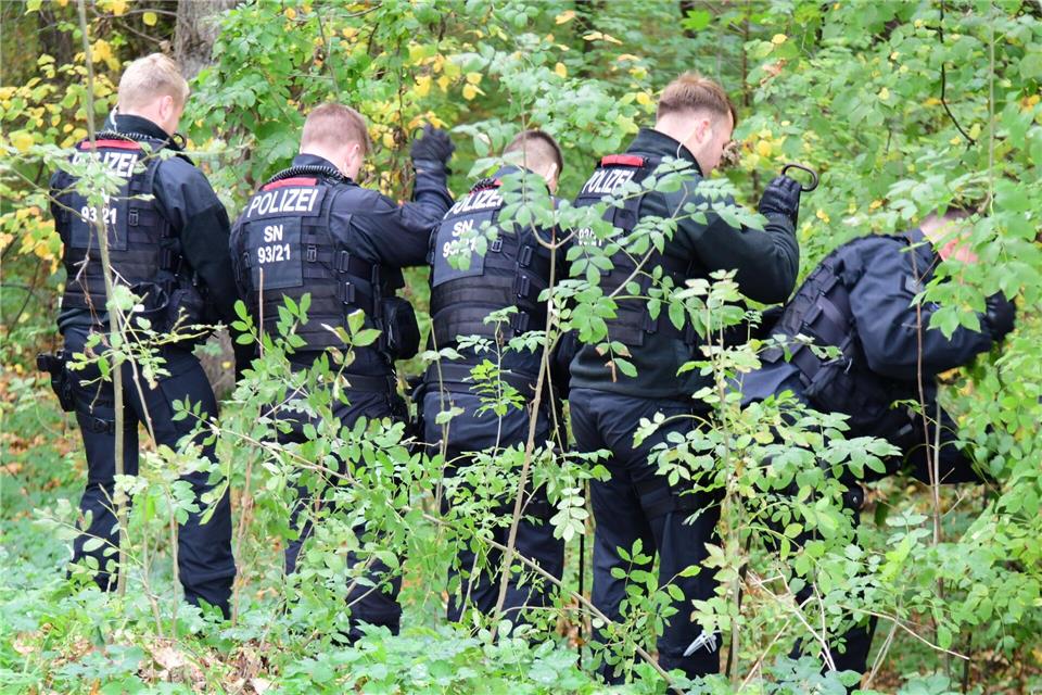 Suche nach Beweisen – größerer Polizeieinsatz in Zittau Polizisten durchsuchen einen Wald und eine Wiese. Danilo Dittrich/dpa