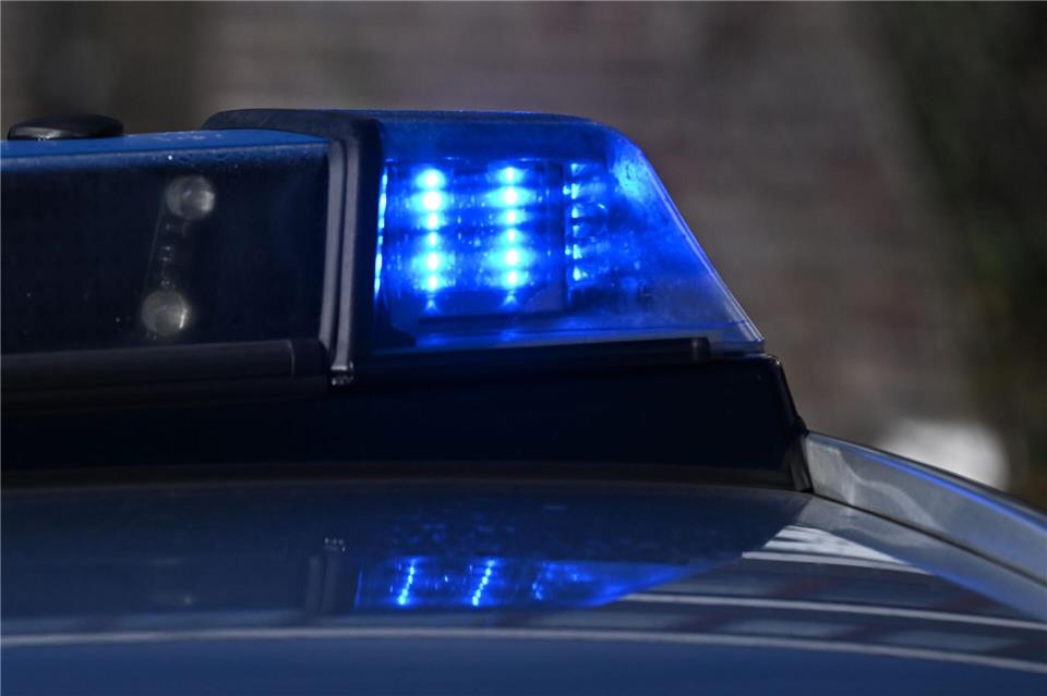 Polizisten finden den Mann im Bisongehege des Münchner Tierparks. (Symbolbild)Bernd Weißbrod/dpa