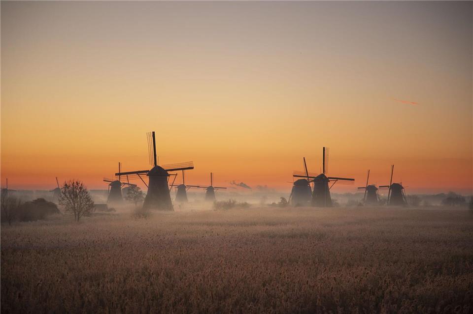 Postkartenidylle in Holland: Die Windmühlen von Kinderdijk sind ein weltbekanntes Symbol der Niederlande und ein beliebtes Motiv für Künstler.Claire Droppert/NBTC/dpa-tmn