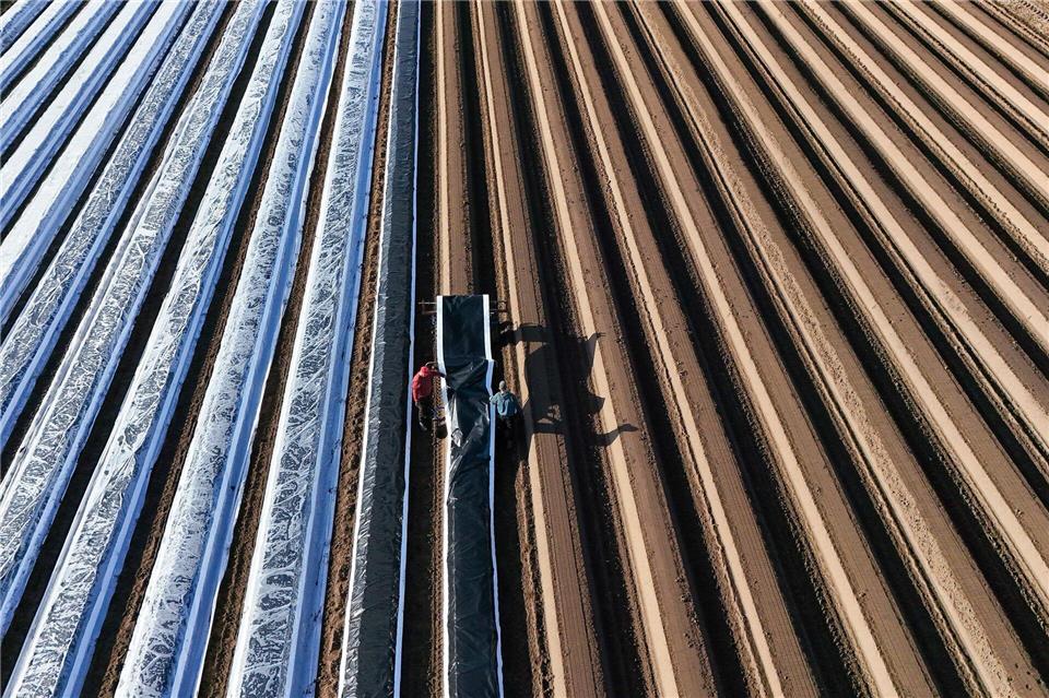 Präzisere Verfahren sollen den Düngemitteleinsatz effizienter machen. (Archivbild) Klaus-Dietmar Gabbert/dpa