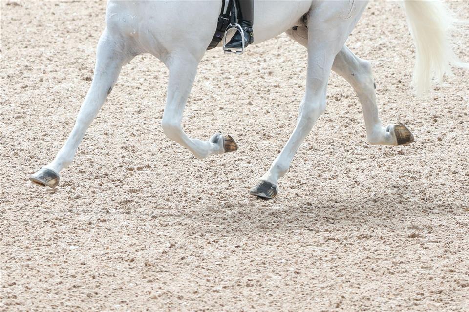 Präzisionsarbeit ist am Wochenende für Reiter und Pferde beim Dressurturnier des ZRFV Borken mit drei S-Prüfungen gefragt.