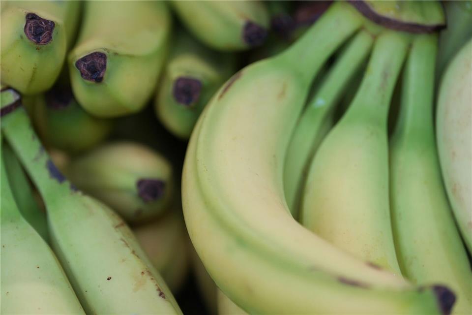 Preise für viele Lebensmittel haben im Januar angezogen. (Symbolbild)Marcus Brandt/dpa