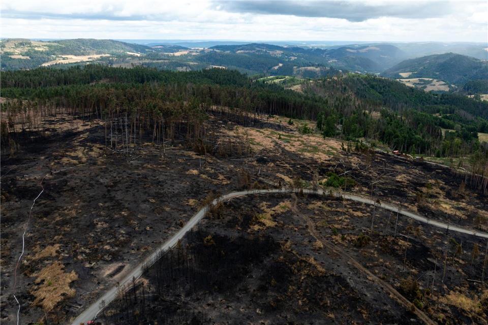 Private Waldbesitzer konnten nach dem Großbrand bislang noch keine Beihilfen beantragen, da die Ermittlungen zur Brandursache noch laufen. (Archivfoto)Michael Reichel/dpa