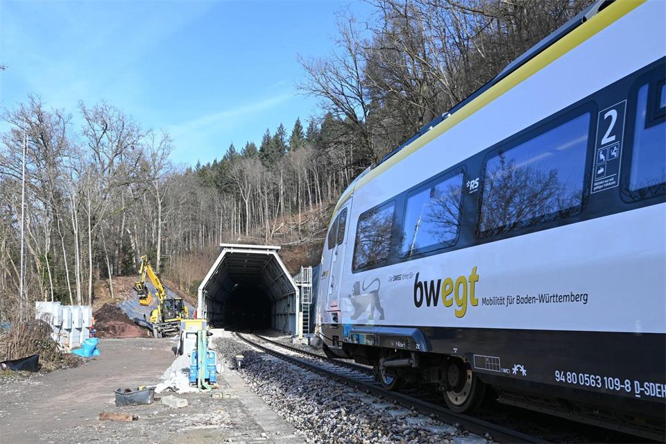 Probleme mit Technik zur sogenannten Fledermaus-Vergrämung beeinträchtigen die Hesse-Bahn. (Archivbild)Bernd Weißbrod/dpa