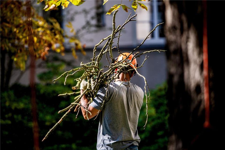Profi für die Gartenarbeiten engagiert? Dann sollten zumindest Teile der Kosten steuerlich absetzbar sein.picture alliance/dpa/dpa-tmn