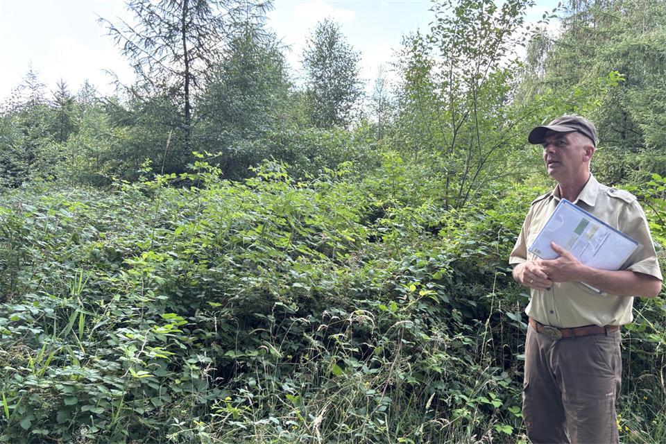 Projektleiter Christoph Beemelmans hatte bei dem Rundgang durch den Tiergarten die ehemaligen Fichten-Flächen als Bereiche erläutert, die für eine Aufforstung in Frage kommen.