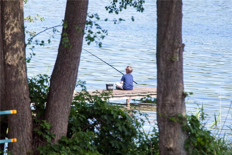 Prüfung geschafft, Rute ausgeworfen: Neue Regeln erleichtern Kindern das Angeln in Sachsen-Anhalt. (Archivbild)Jens Büttner/dpa-Zentralbild/dpa