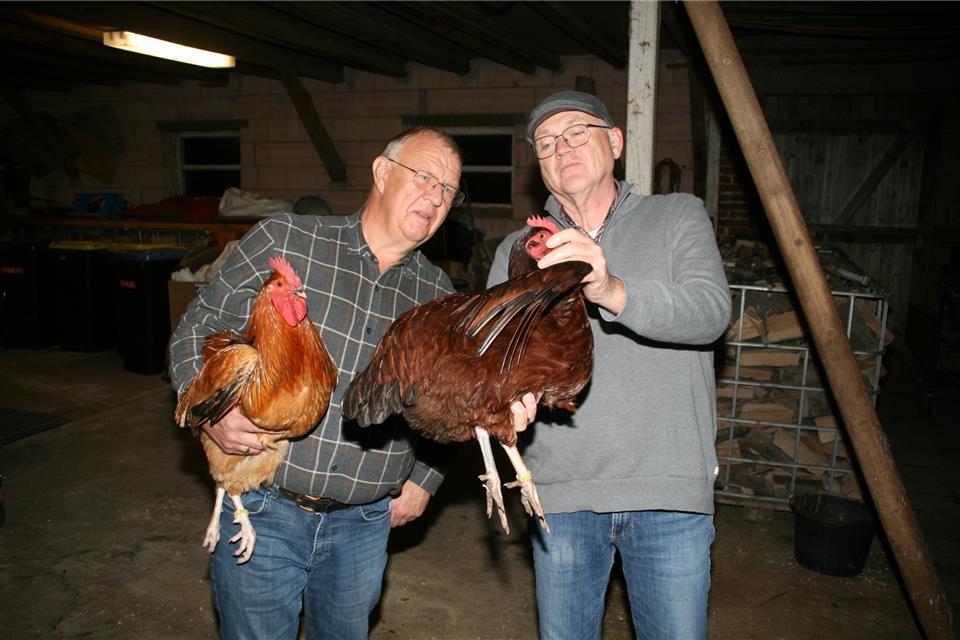 RGZV-Vorsitzender Richard Tenbusch (l.) mit einem Sussex-Hahn und Richard Tegelkamp (r.) mit einer Sussex-Henne. 
