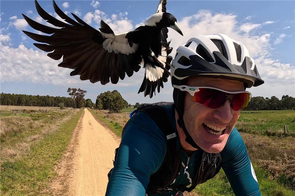 Radfahrer Shane Miller testet einen „PieProof“-Helm gegen Magpie-Angriffe.Shane Miller/GPLama/dpa
