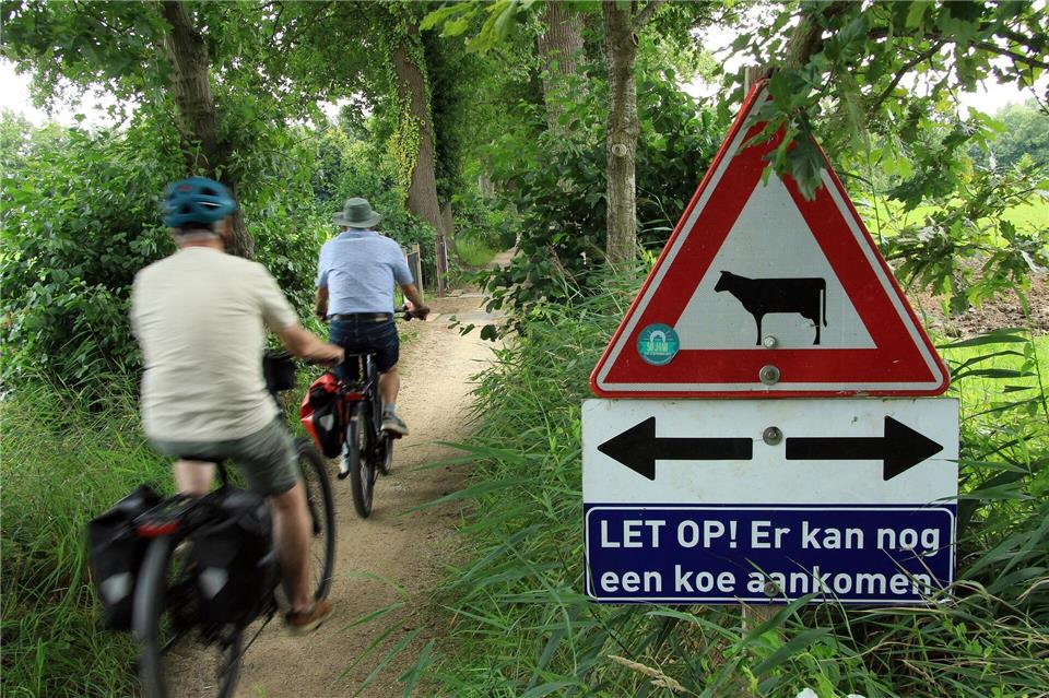 Radtouristen sind hier besser vorsichtig: Kühe könnten den Weg kreuzen, mahnt das Schild.Bernd F. Meier/dpa-tmn