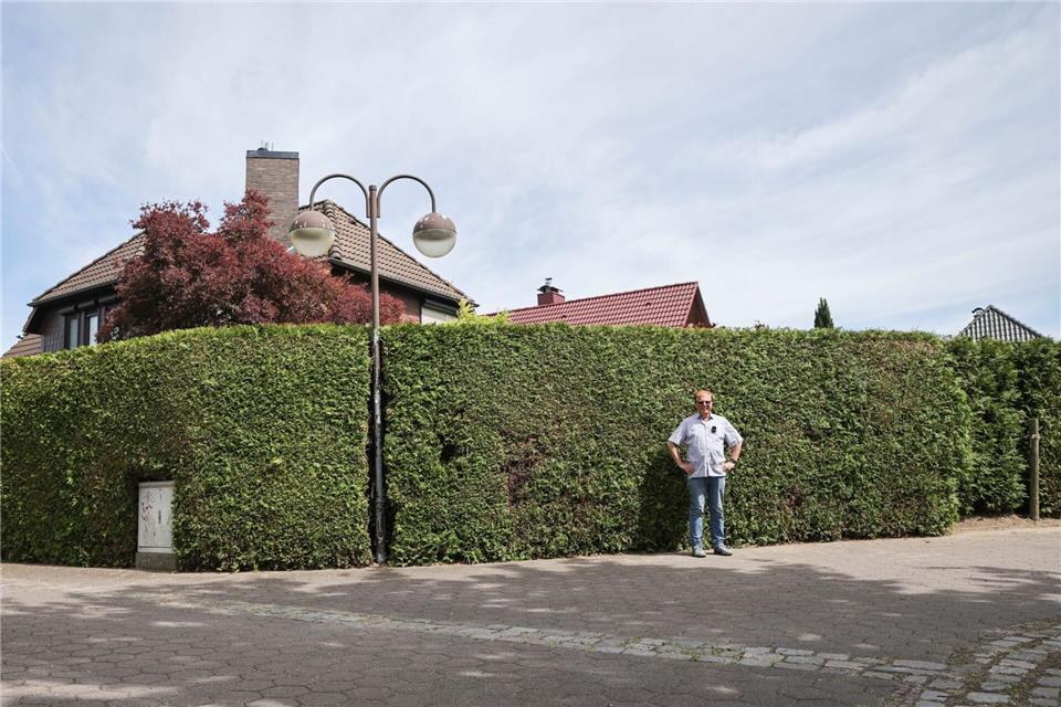 Rainer Grunert aus Glinde kämpft um seine Thujahecke. Aus Gründen der Verkehrssicherheit soll er sie zurückschneiden. Christian Charisius/dpa