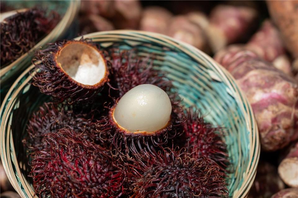 Rambutans bieten mehr Fruchtfleisch als Litschis: Das süß-saftige Innere umgibt einen kleineren Kern.Zacharie Scheurer/dpa-tmn