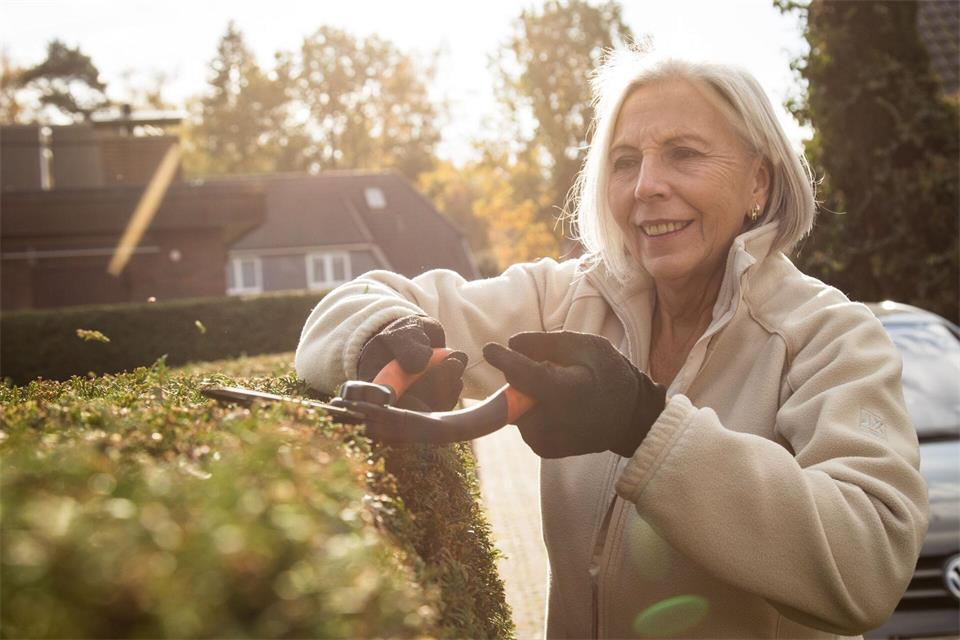 Ran an die Schere: Im Herbst können Gehölze ausgelichtet und von abgestorbenen Zweigen befreit werden.Christin Klose/dpa-tmn