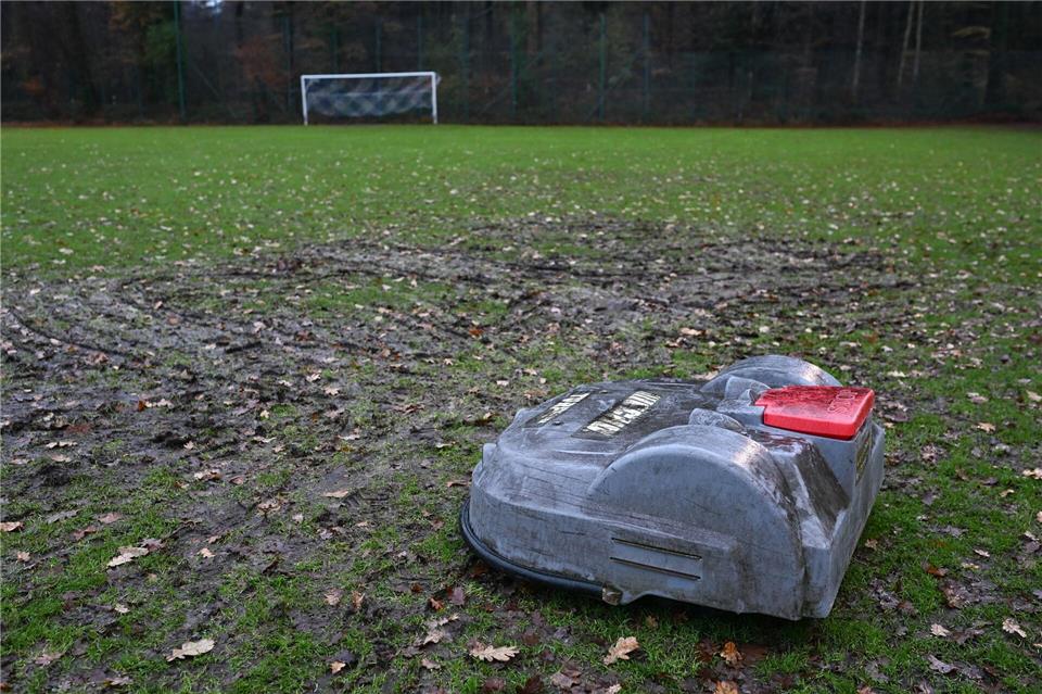Rasenmähroboter „Robby“ hatte sich unbemerkt im Rasen festgefahren. Lars Penning/dpa