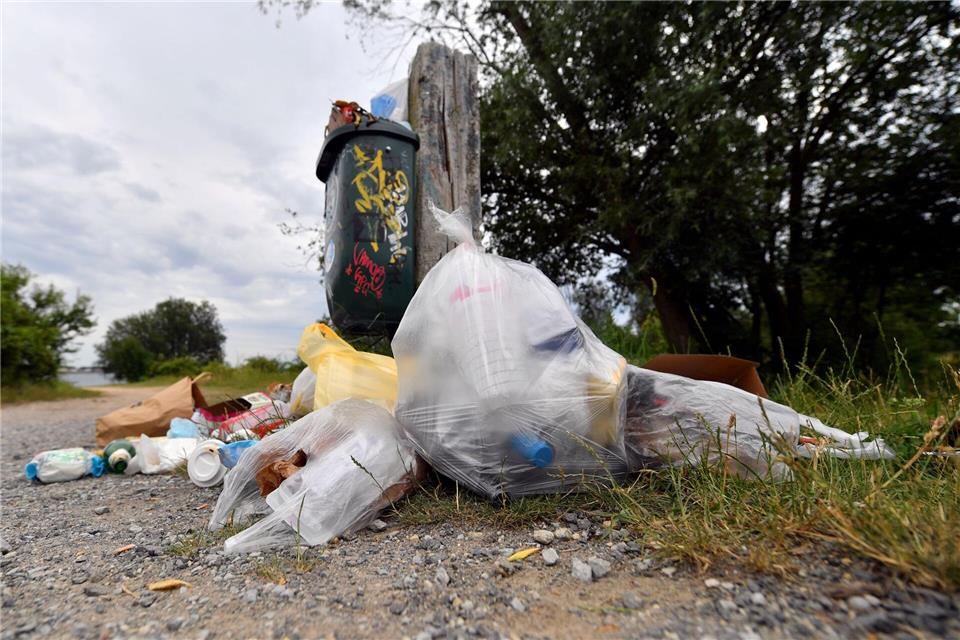 Ratten finden in Städten leicht Nahrung und Unterschlupf, vor allem dort, wo Müll achtlos entsorgt oder Speisereste zugänglich sind. (Symbolbild)Hendrik Schmidt/dpa-Zentralbild/ZB