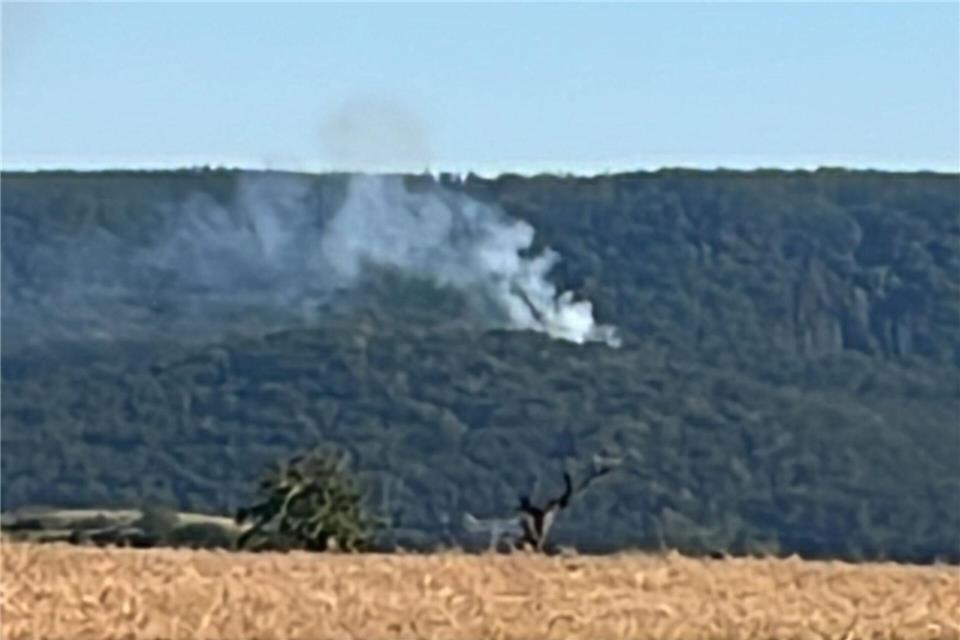 Rauch steigt aus dem Wald.Matthias Bein/dpa