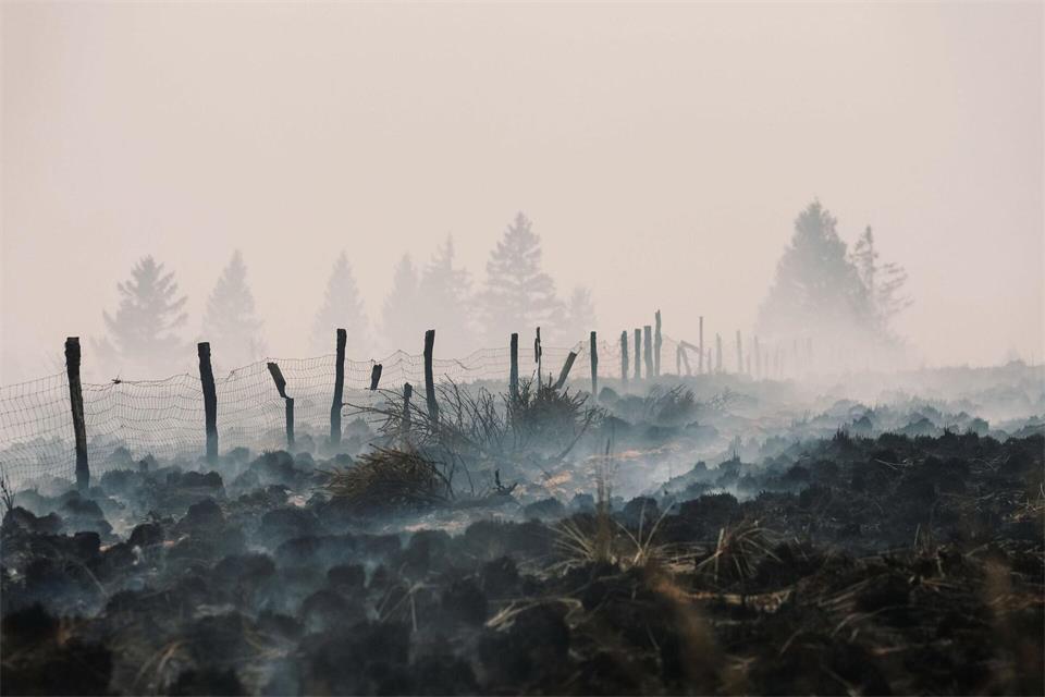Rauch steigt von einem verkohlten Feld bei Waimes in Belgien auf.Marius Burgelman/AP/dpa