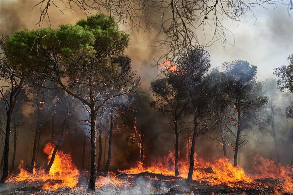 Rauch und Feinstaub aus Waldbränden verunreinigen auch noch in weiter EntfernungEduardo Sanz/EUROPA PRESS/dpa