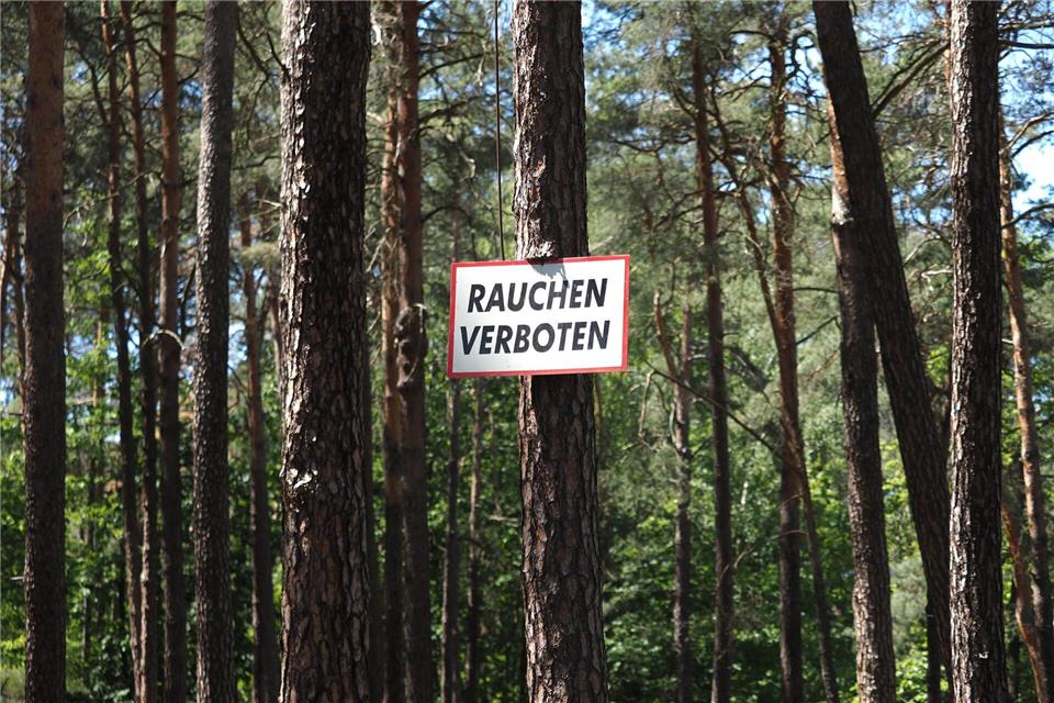 Rauchen in Brandenburgs Wäldern ist das ganze Jahr über verboten. (Archivbild)Soeren Stache/dpa-Zentralbild/ZB