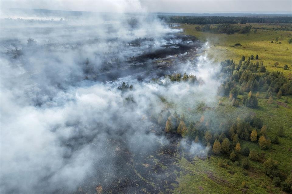 Rauchschwaden ziehen über den Waldbrand im Hohen Venn.Kevin Schößler/dpa