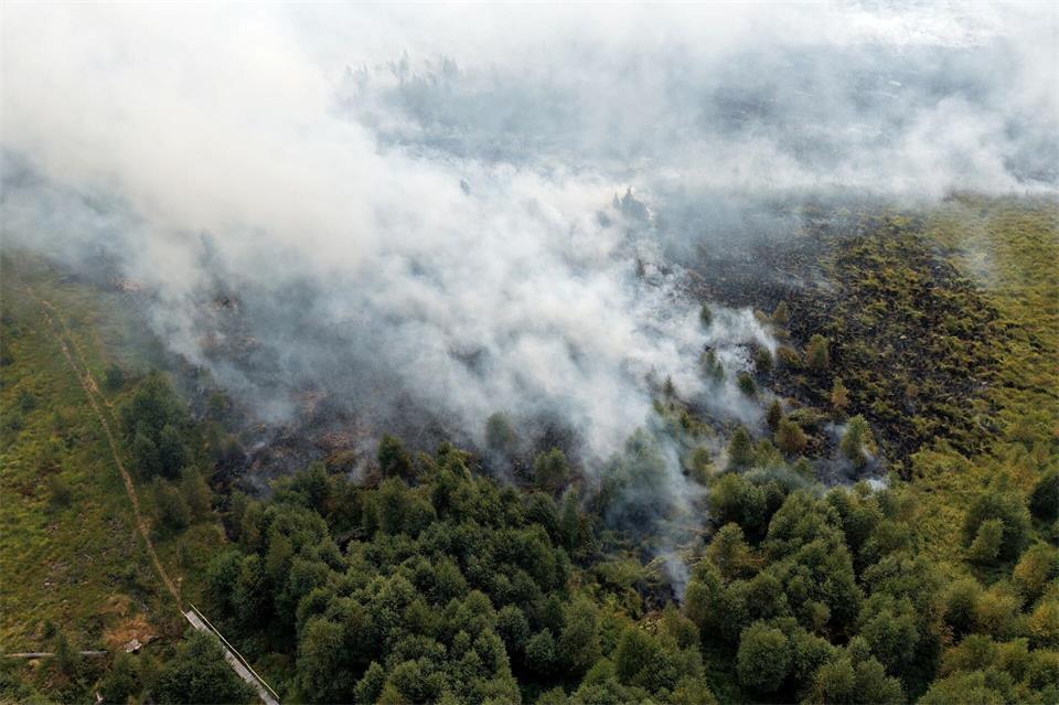 Rauchschwaden ziehen über den großen Waldbrand im Hohen Venn hinweg.Kevin Schößler/dpa