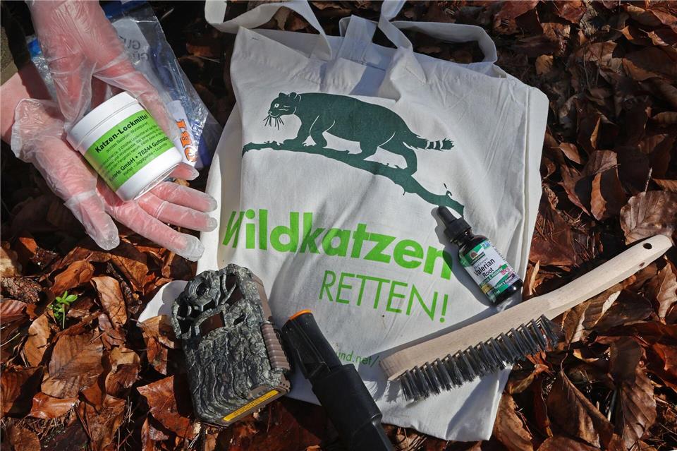 Regelmäßig überprüft Rangerin Sarah Lemke den Wildkatzen-Lockstock im Wald Kargower Buchen.Bernd Wüstneck/dpa