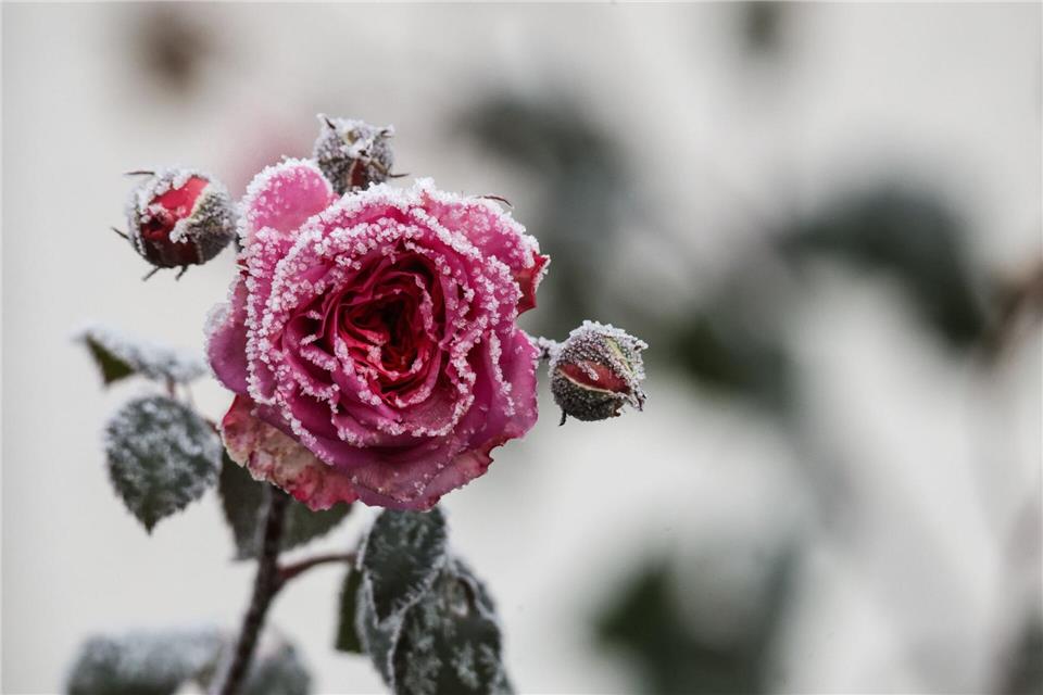 Regen, Graupel, Schnee – Baden-Württemberg bekommt die volle Winter-Wetterpalette.Thomas Warnack/dpa