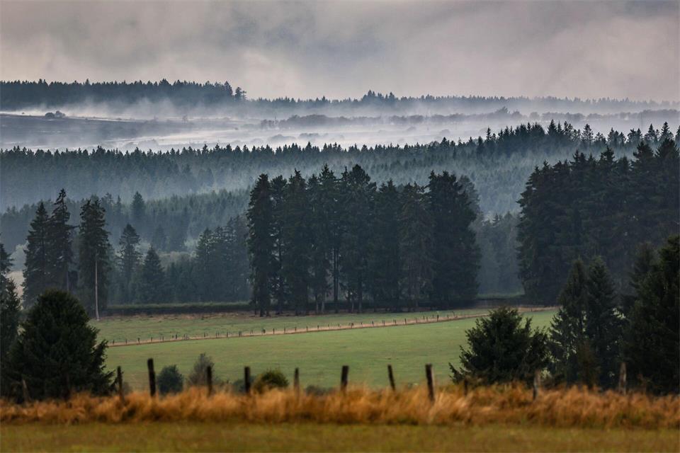 Regen hilft, auffrischender Wind ist ungünstig. Oliver Berg/dpa
