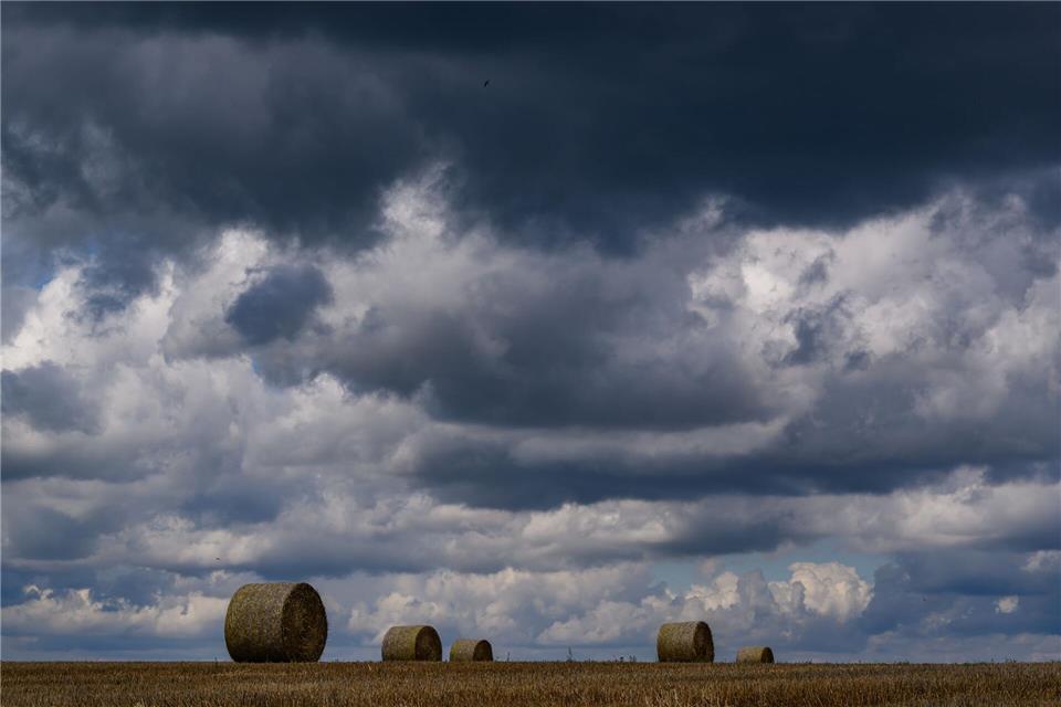 Regen kommt auf Teile von Berlin und Brandenburg zu. (Archivbild)Patrick Pleul/dpa