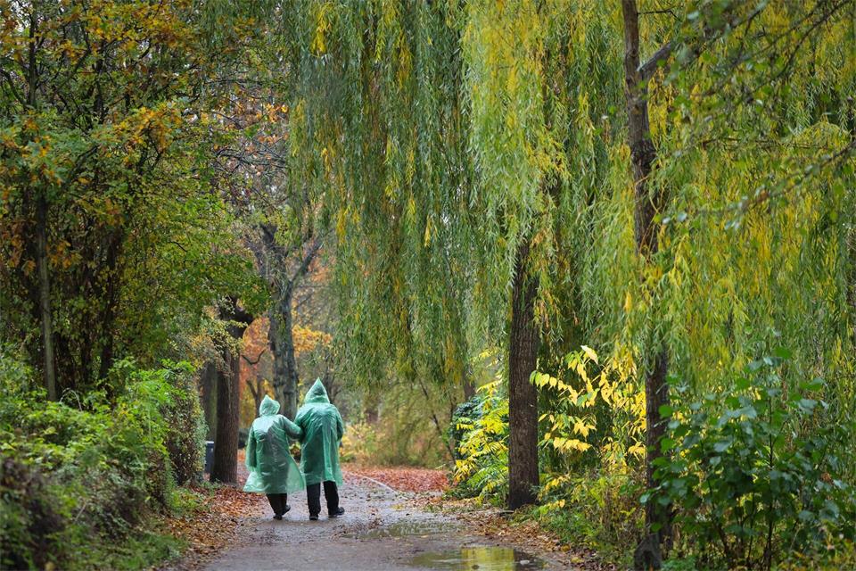 Regen und Wind: allmählich dreht der Herbst in Hamburg und Schleswig-Holstein auf. (Archivbild)Christian Charisius/dpa