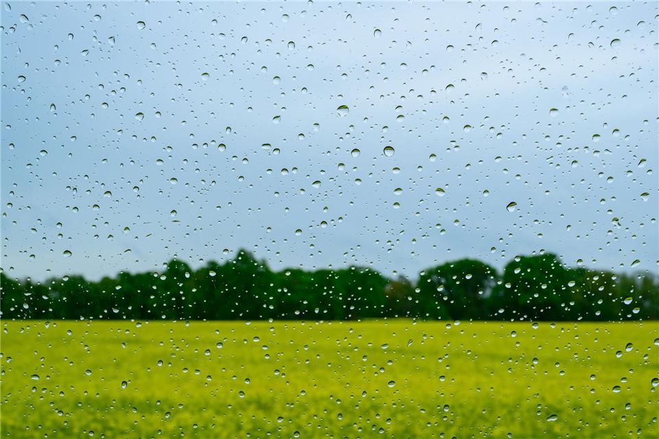 Regen wird es auch in den kommenden Tagen geben. Patrick Pleul/dpa