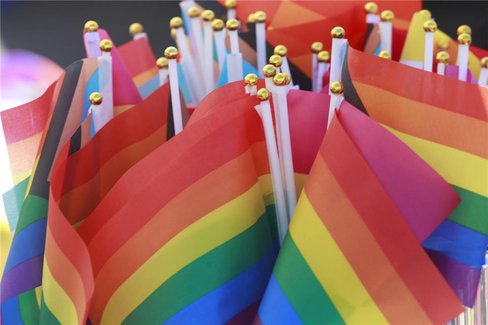 Stirbt die Schwulenszene aus?  Regenbogenfahnen - Symbol der Community - auf einem Christopher Street Day. (Archivbild)Matthias Bein/dpa