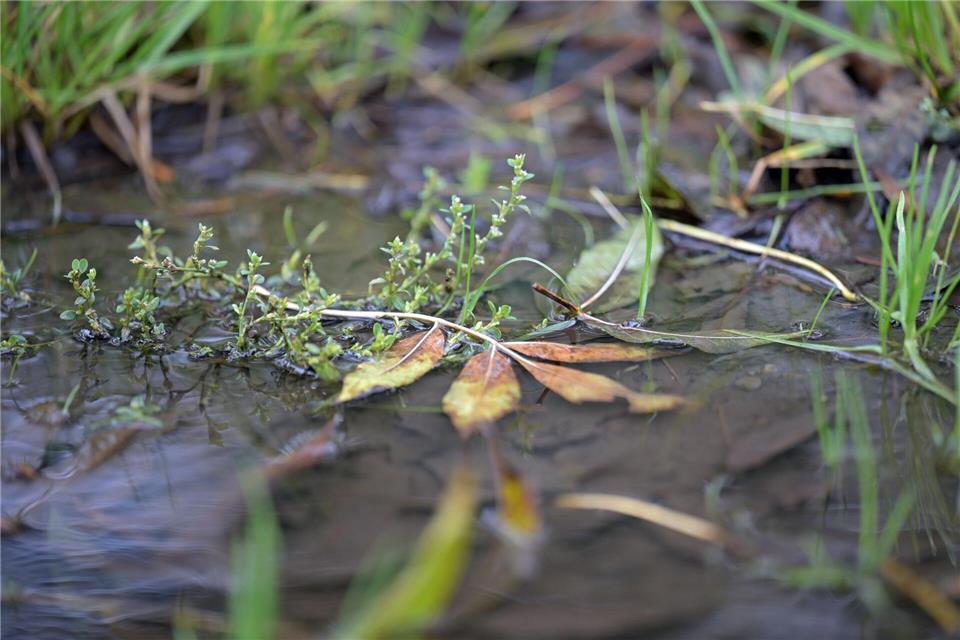 Regenschirm nicht vergessen: In einigen Regionen Bayerns kann es noch nass werden.Malin Wunderlich/dpa