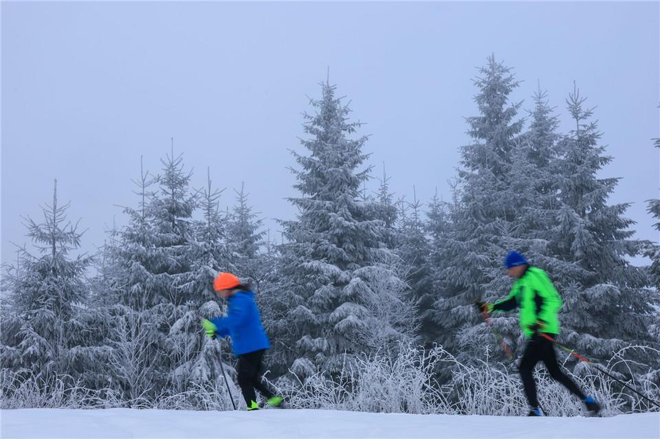 Reichlich Schnee in den vergangenen Tagen hat für gute Bedingungen auf der Kammloipe gesorgt.Jan Woitas/dpa