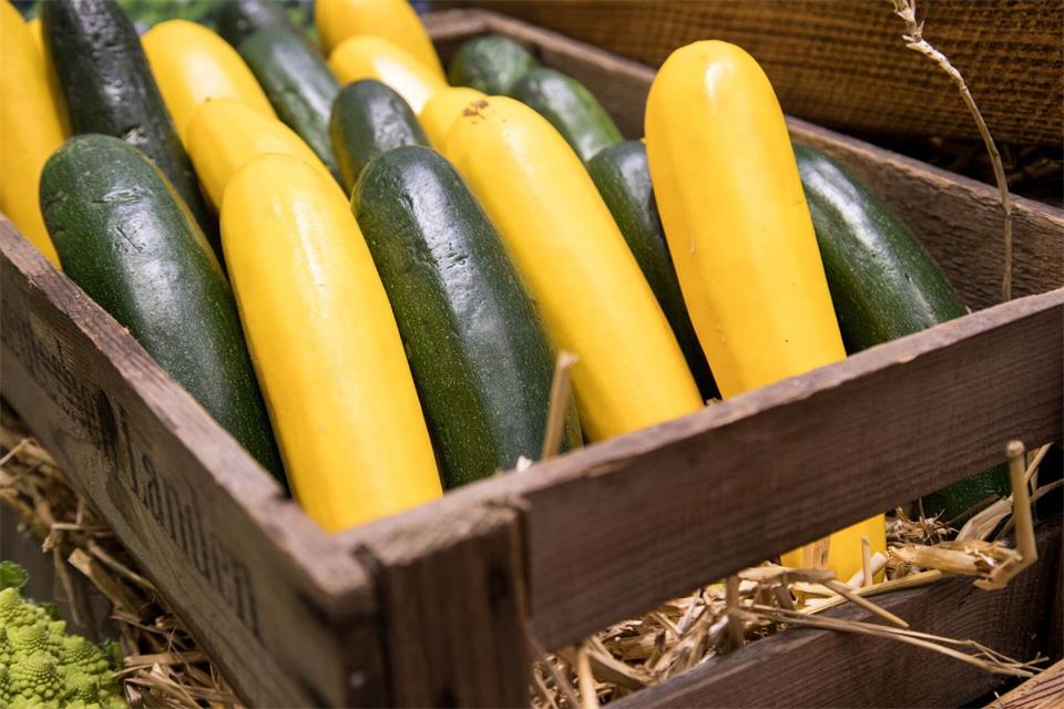 Reichlich Zucchini geerntet? Warum nicht als Pickles haltbar machen? Denkbar in Scheiben geschnitten mit Zwiebelringen, Knoblauchzehen und kochendem Essigsud mit Gewürzen wie Kurkuma, Senfsaat und Pfeffer einmachen. picture alliance/dpa/dpa-tmn