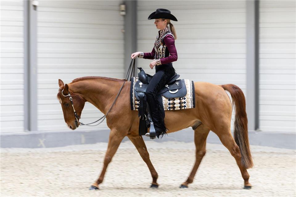 Reitwettbewerbe und Showvorführungen gehören zum Programm der Freizeitmesse.Michael Reichel/dpa