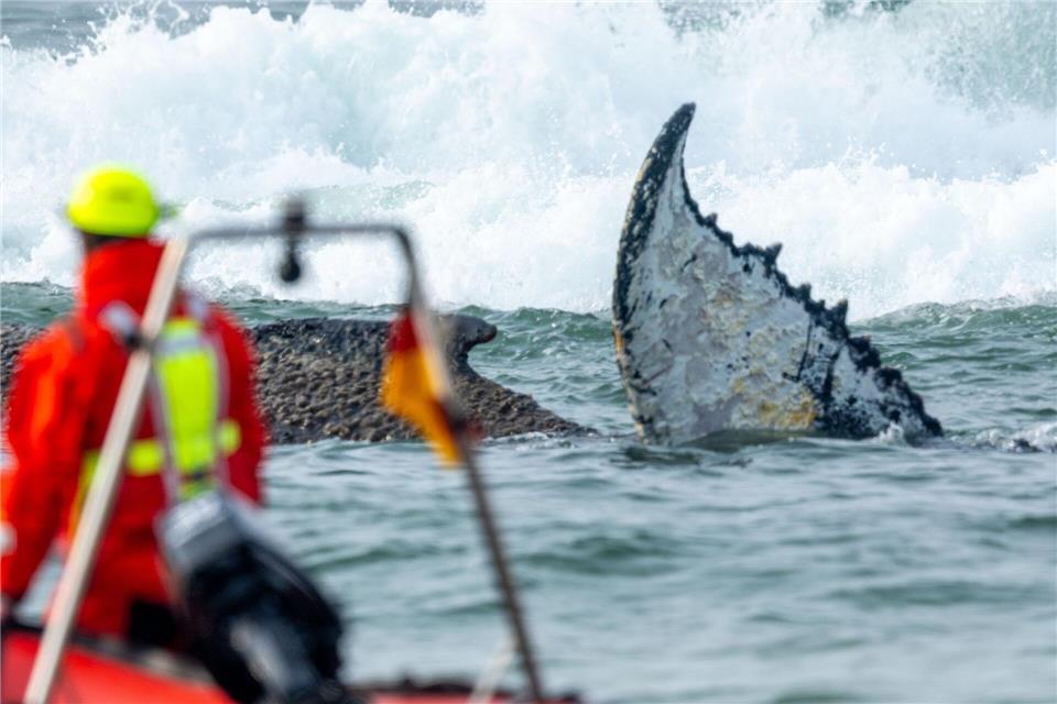 Rettungskräfte beobachten vom Strand aus einen Wal, der am Timmendorfer Strand gestrandet ist. Die Polizei hat das Gelände abgesperrt, um das Tier nicht zu beunruhigen. Die Rettung läuft seit den Morgenstunden.Jens Büttner/dpa